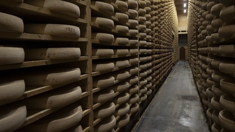 Read more about the article France eases cow diets as cheesemakers sweat