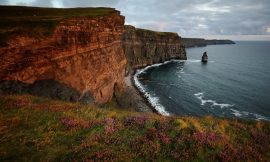 Number of tourists who came to Ireland up 5% in July:CSO