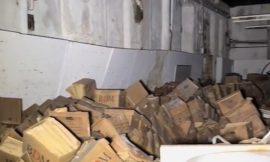 HSE fined €645k over records covered in animal droppings