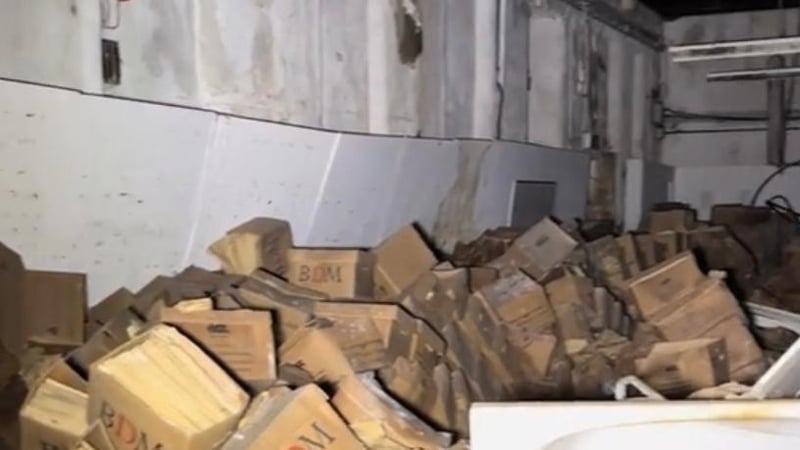 hse-fined-e645k-over-records-covered-in-animal-droppings
