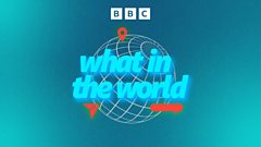 Read more about the article What in the World – Why women are often better investors than men – BBC Sounds