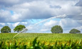 World food prices at highest point since 2022 – UN