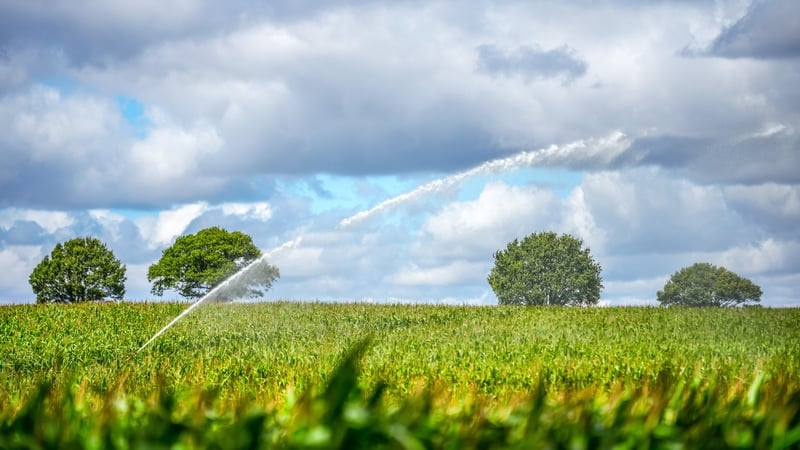 world-food-prices-at-highest-point-since-2022-–-un