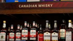 what-tariffs-will-really-cost-canadians-and-americans