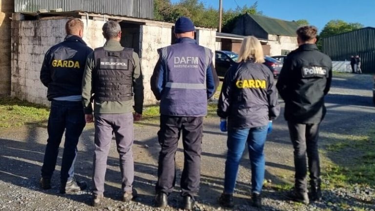 Read more about the article Searches in Ireland targeting horse trafficking network
