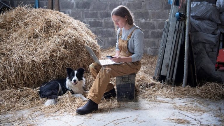 Read more about the article Almost 60,000 farms now have access to NBI network