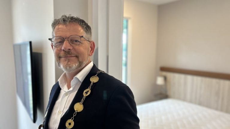 Read more about the article Dept ‘could not sanction’ benefits for Limerick mayor