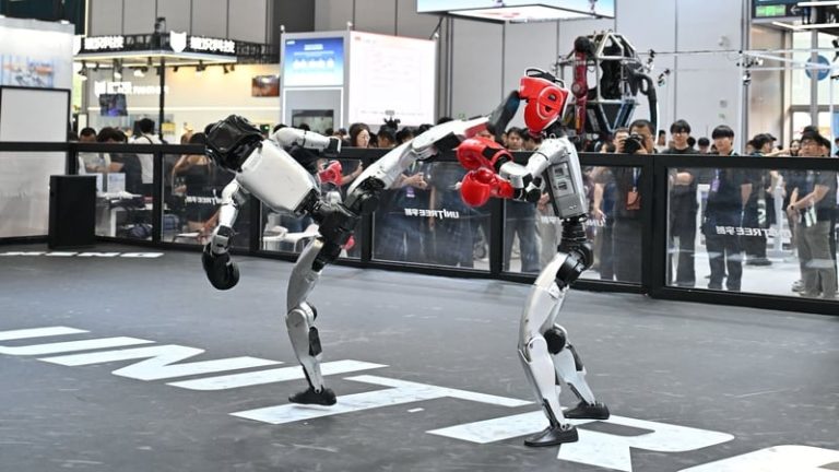 Read more about the article China slows humanoid robot IPO rush