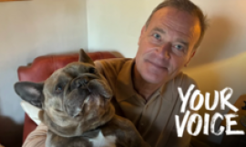 Are vet bills about to get cheaper?