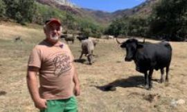 Spain battles climate change on several fronts