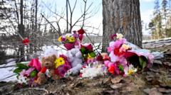 Read more about the article Canadian province sues OpenAI over Tumbler Ridge mass shooting