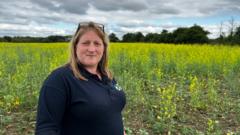 extreme-heat-has-caused-drop-in-uk-milk-supply,-new-data-shows
