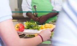 Department did not verify hot school meal claims – C&AG