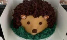 Fareham and Gosport volunteers bake free birthday cakes for kids