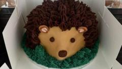 fareham-and-gosport-volunteers-bake-free-birthday-cakes-for-kids