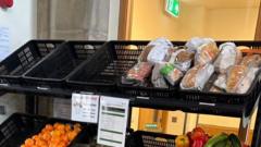 drop-in-donations-puts-sheffield-community-pantry-at-risk-of-closure