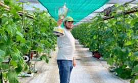 Watch: Award-winning cucumber farmer’s Budget hopes