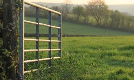 Mixed reaction among farming groups to Budget measures