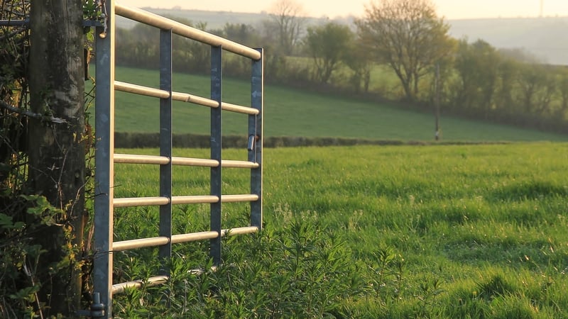 mixed-reaction-among-farming-groups-to-budget-measures