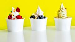 froyo’s-made-a-comeback.-but-at-12-a-tub-will-it-last?