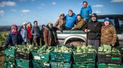cornish-gleaning-group-hits-million-milestone-for-food-banks